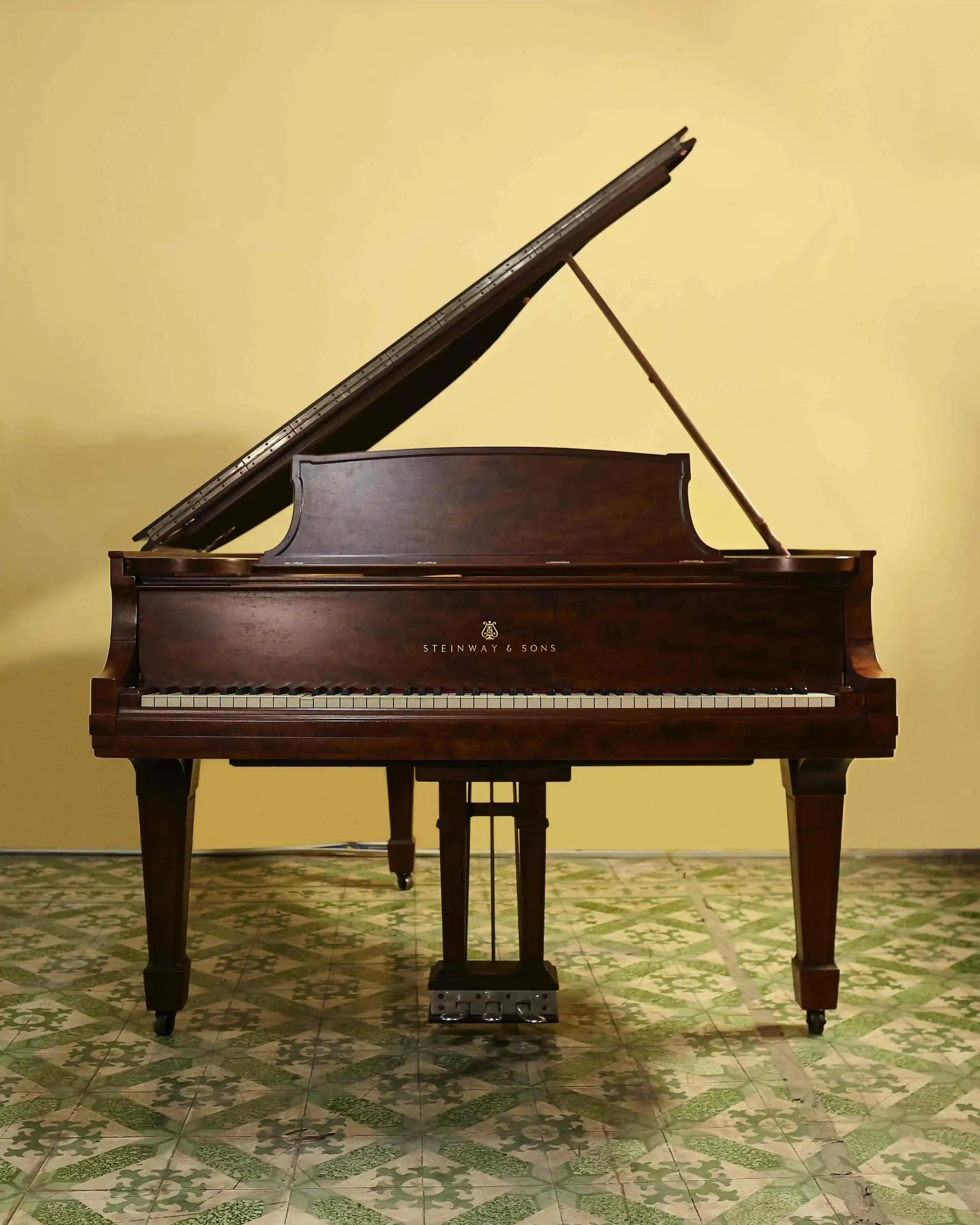 SteinwaySon 1