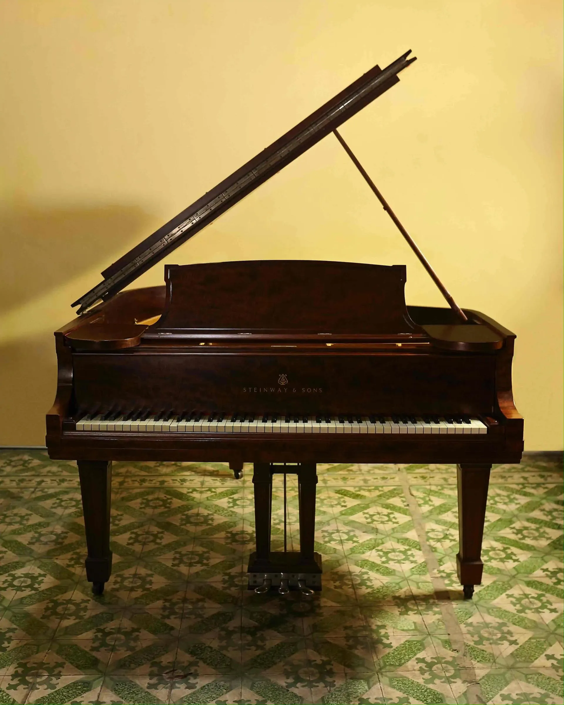 SteinwaySon 2