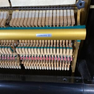 img 3 20251002170936